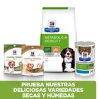 Hill's Prescription Diet j/d Metabolic + Mobility pienso para perros, , large image number null